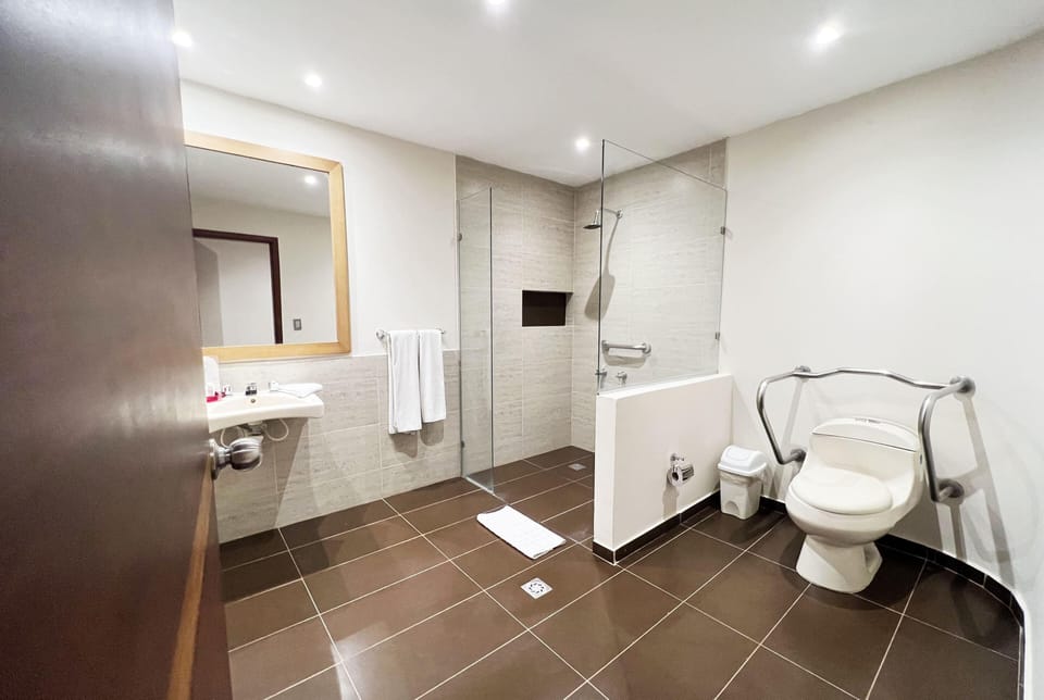 Standard Room, 1 King Bed, Accessible | Accessible bathroom