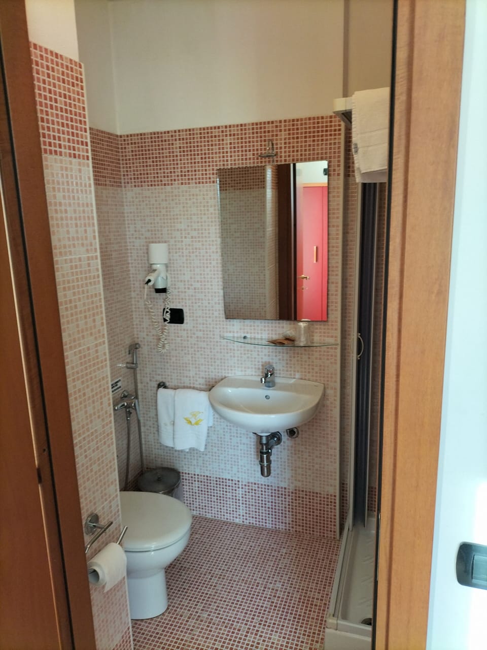 Single Room | Bathroom | Shower, hair dryer, towels