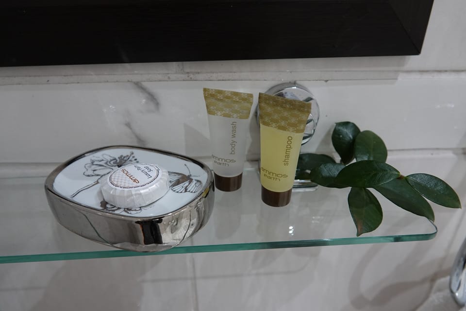 Deluxe Room | Bathroom | Free toiletries, hair dryer, towels
