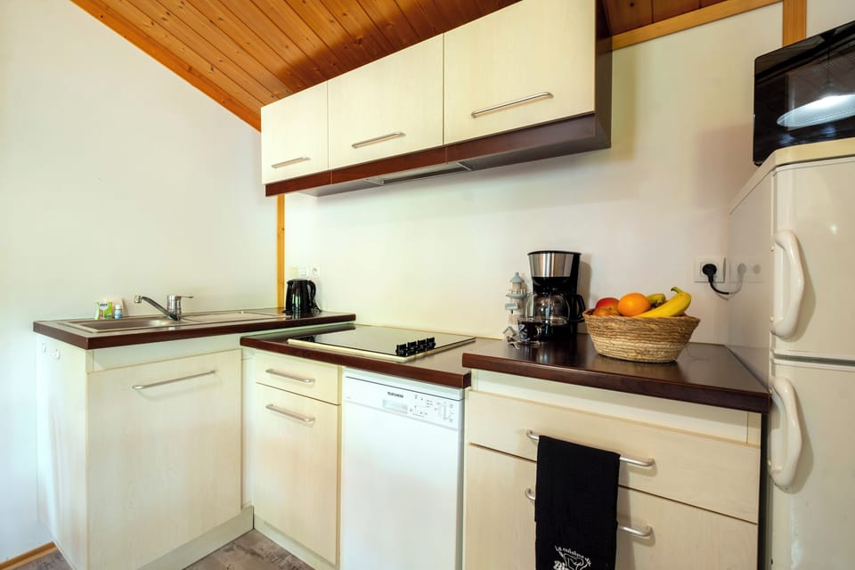 Full-size fridge, microwave, stovetop, dishwasher