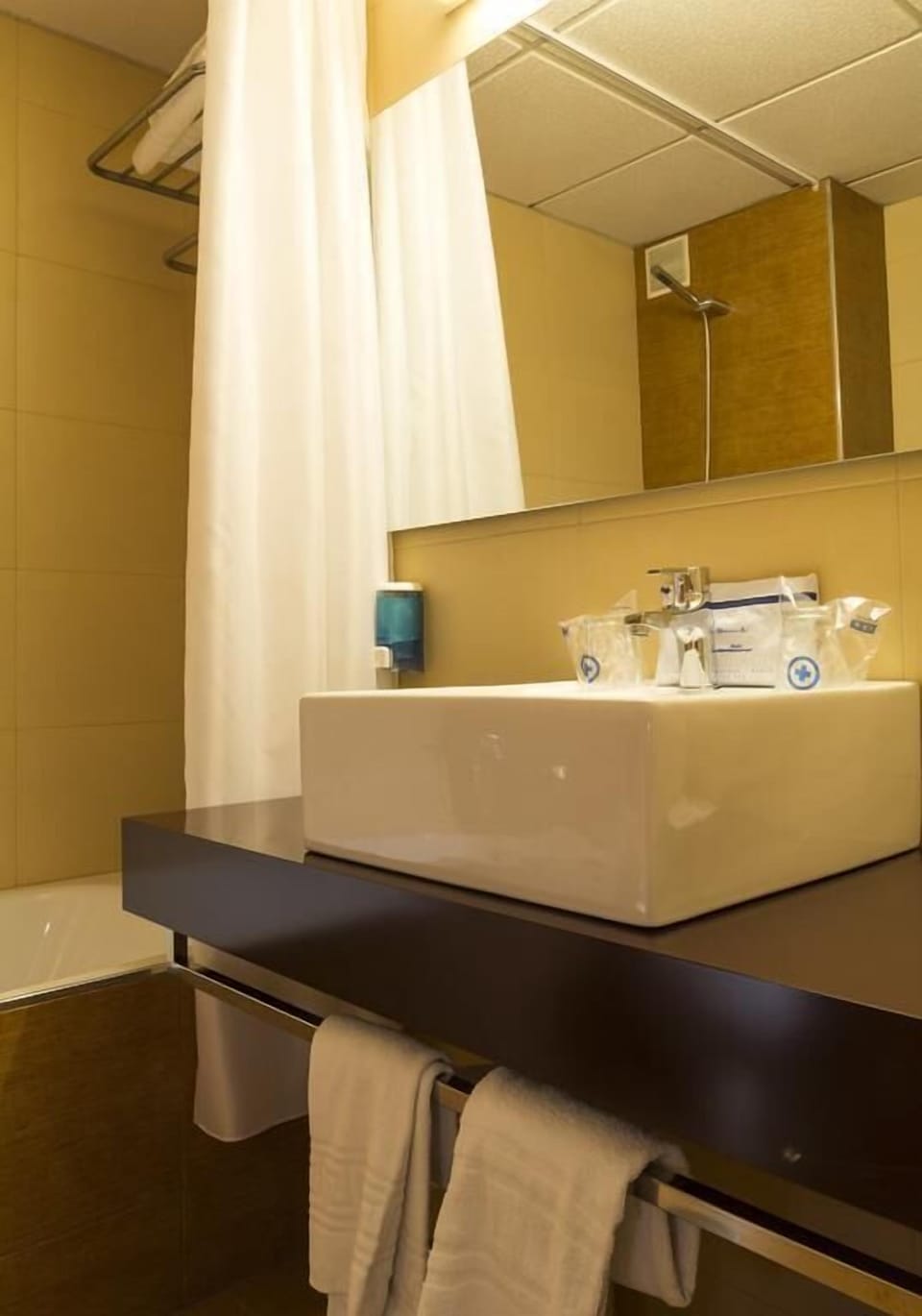 Standard Room | Bathroom | Free toiletries, towels