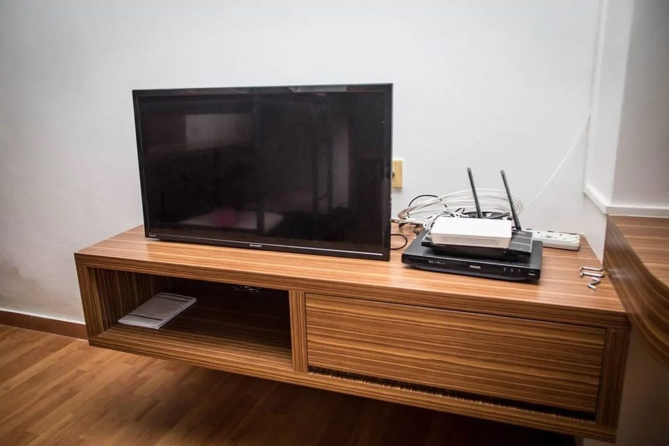 Television
