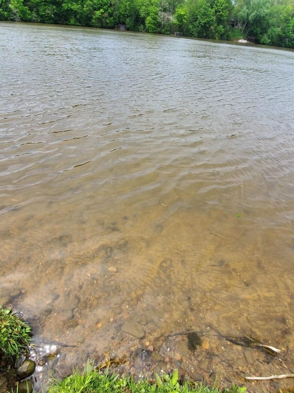 Sandy Bottom for swimming