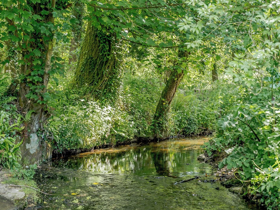 Enchanting surroundings | Mill Cottage, Hawkchurch, near Lyme Regis