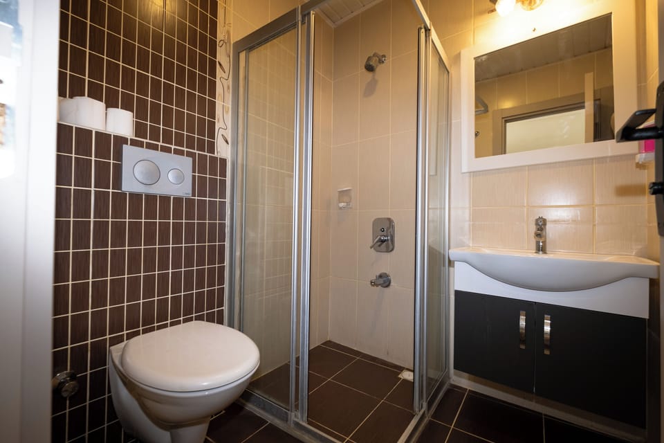 Standard Triple Room | Bathroom | Shower, hair dryer, soap, shampoo
