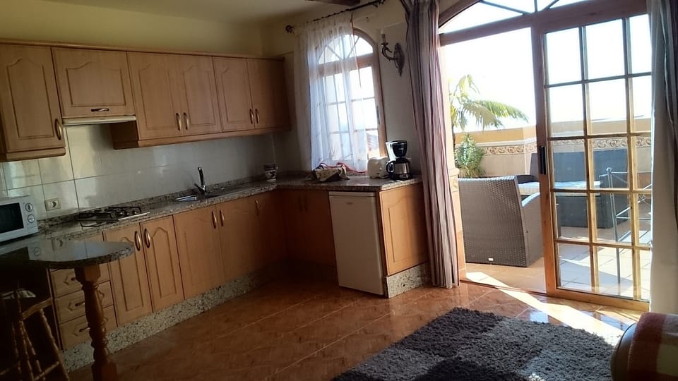 Studio, 1 King Bed, Terrace, Sea View | Private kitchenette | Full-size fridge, microwave, toaster, highchair