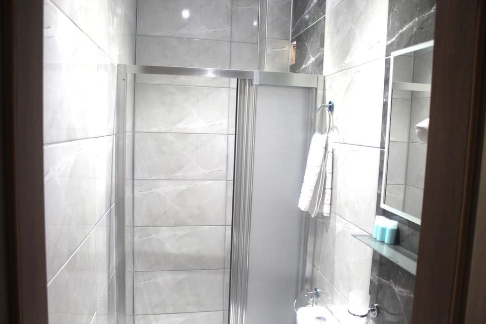 Economy Double Room | Bathroom | Shower, free toiletries, hair dryer, slippers