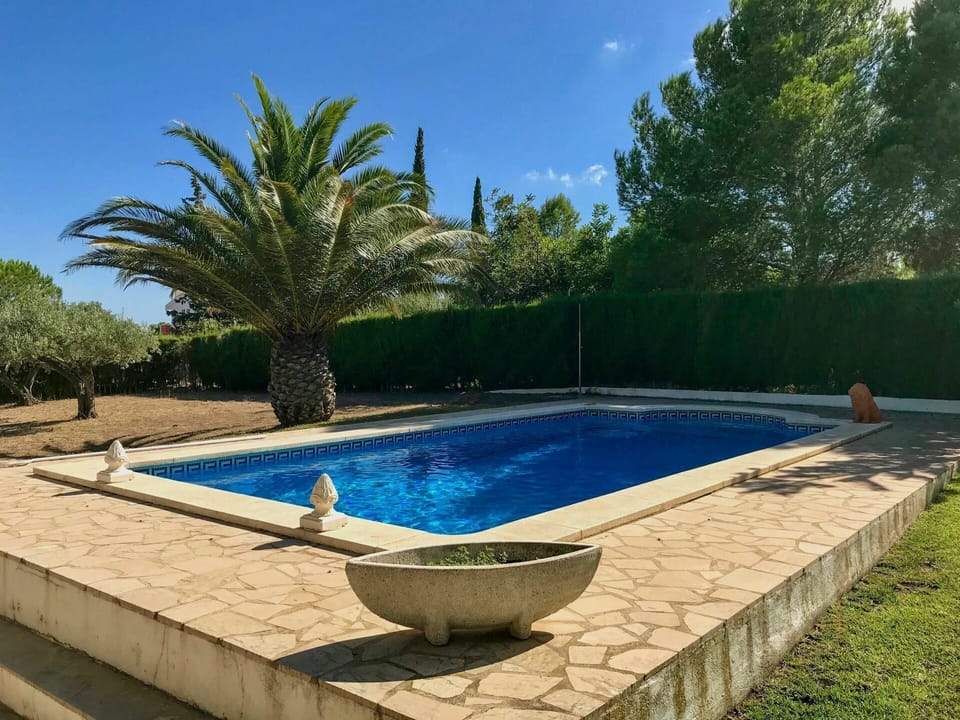 Swimming Pool, Property, Tree, Leisure, Backyard, Real Estate, Palm Tree, Grass, House, Rectangle