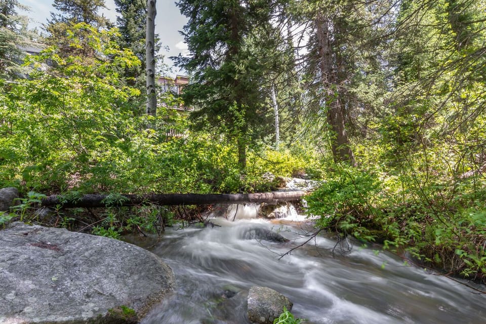 Burgess Creek rushes right through your backyard