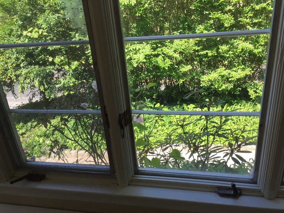 Sunroom view