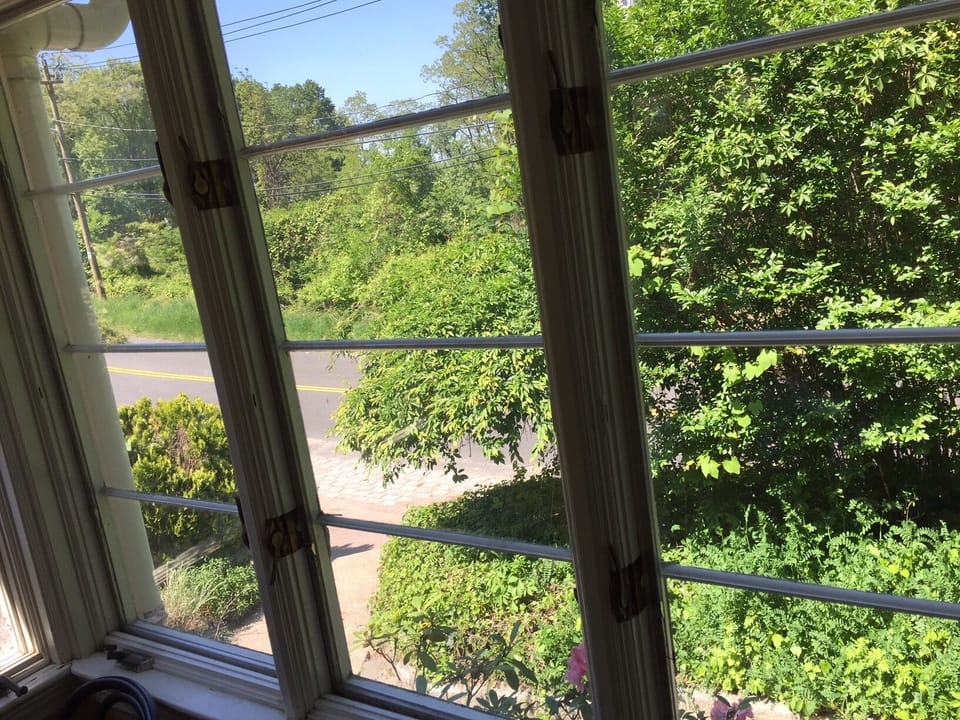 View from table in sunroom