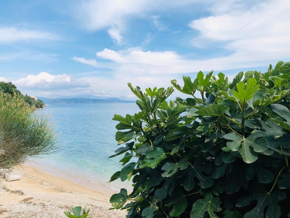 Glyfa Beach Villas Villa in Peloponnese, Western Greece and the Ionian