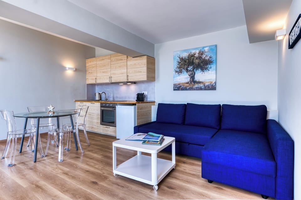 Classic Apartment | Living area | LED TV, DVD player