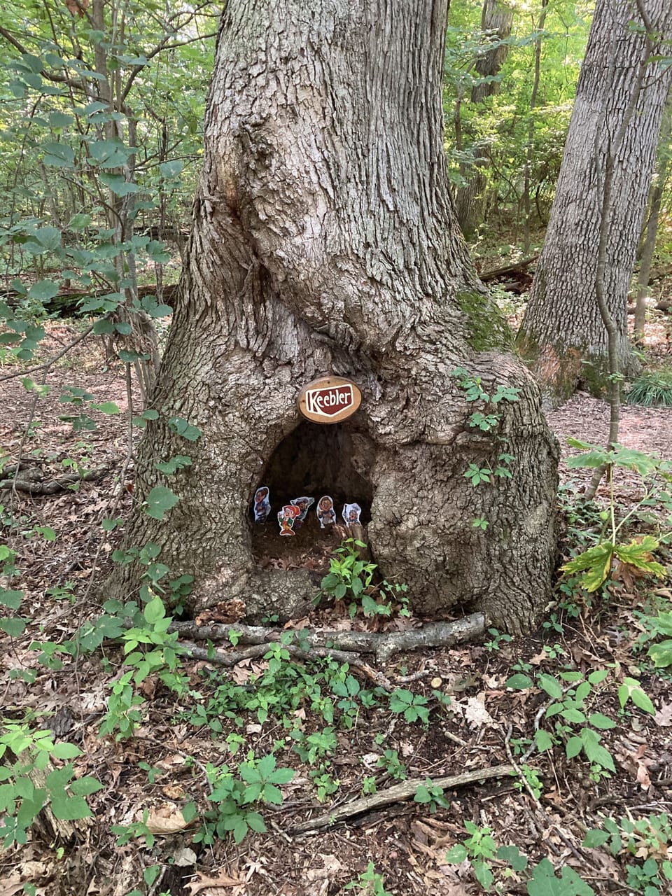 See the Keebler elves as you walk to the beach