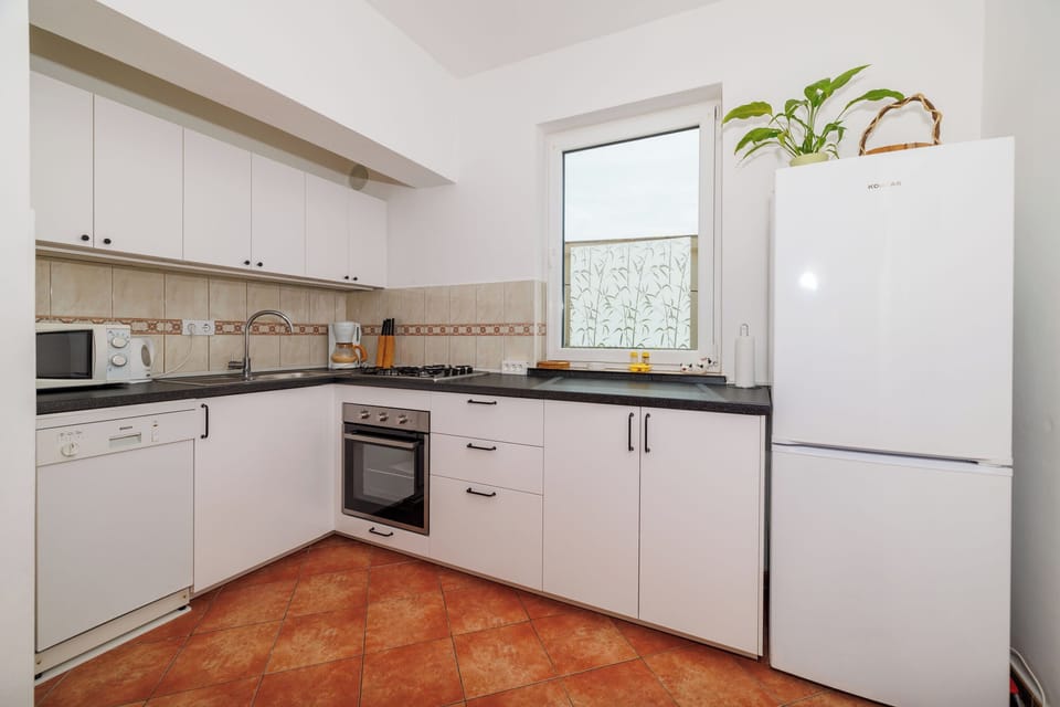 Apartment (A2) | Private kitchen | Fridge, microwave, stovetop, dishwasher
