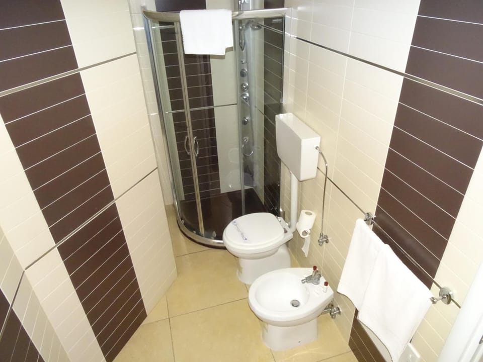 Shower, hair dryer, bidet, towels