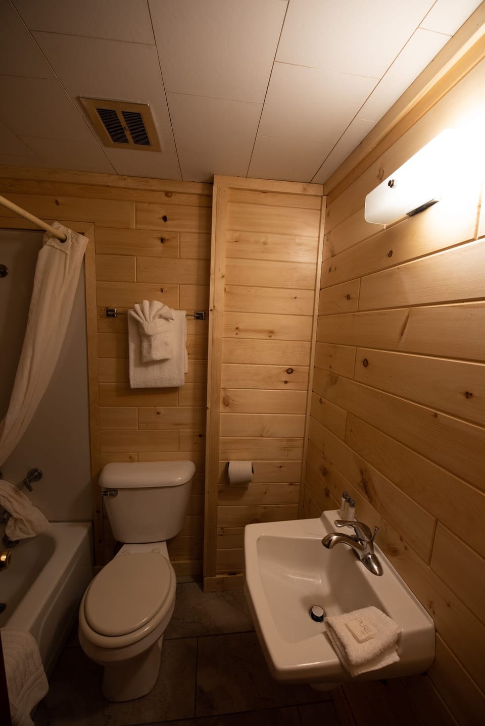 Combined shower/tub, towels