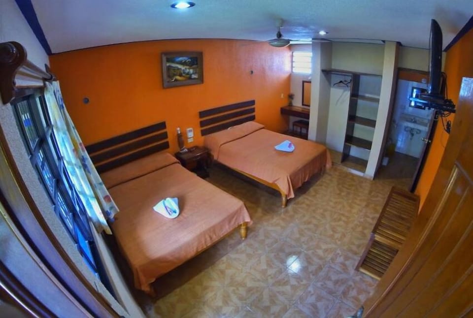 Basic Double Room, 2 Double Beds | 1 bedroom, iron/ironing board, free WiFi, bed sheets