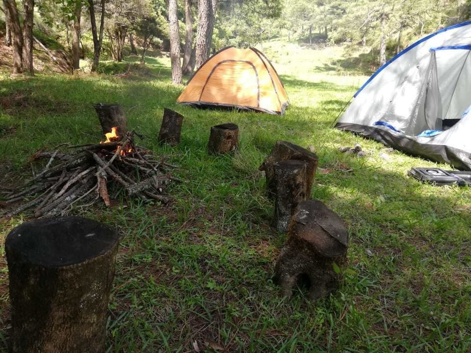 BBQ/picnic area