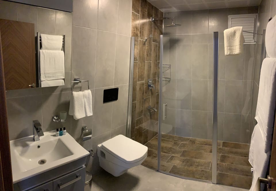 Grand Suite | Bathroom | Shower, rainfall showerhead, free toiletries, hair dryer