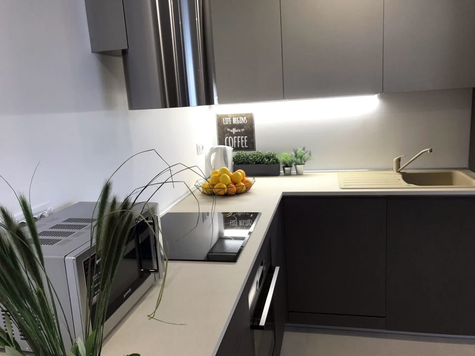 Apartment | Private kitchen | Full-size fridge, microwave, oven, stovetop