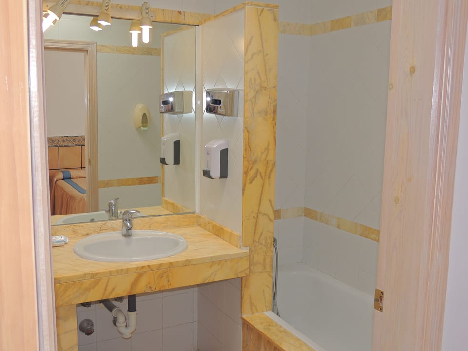 Hair dryer, bidet, towels