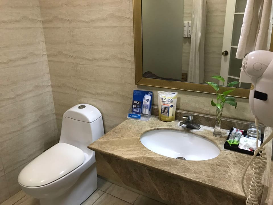 Business Double Room | Bathroom | Shower, rainfall showerhead, free toiletries, hair dryer (on request)