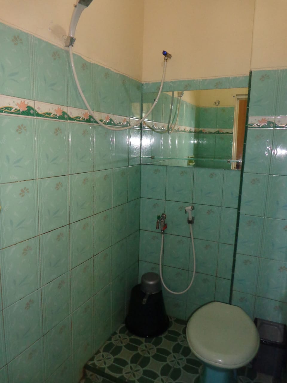 Shower, slippers, bidet