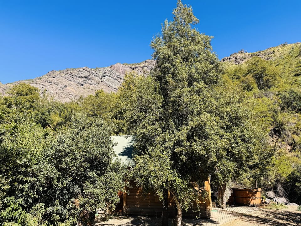 Family Cabin, 2 Bedrooms, Hot Tub, Mountain View | Terrace/patio