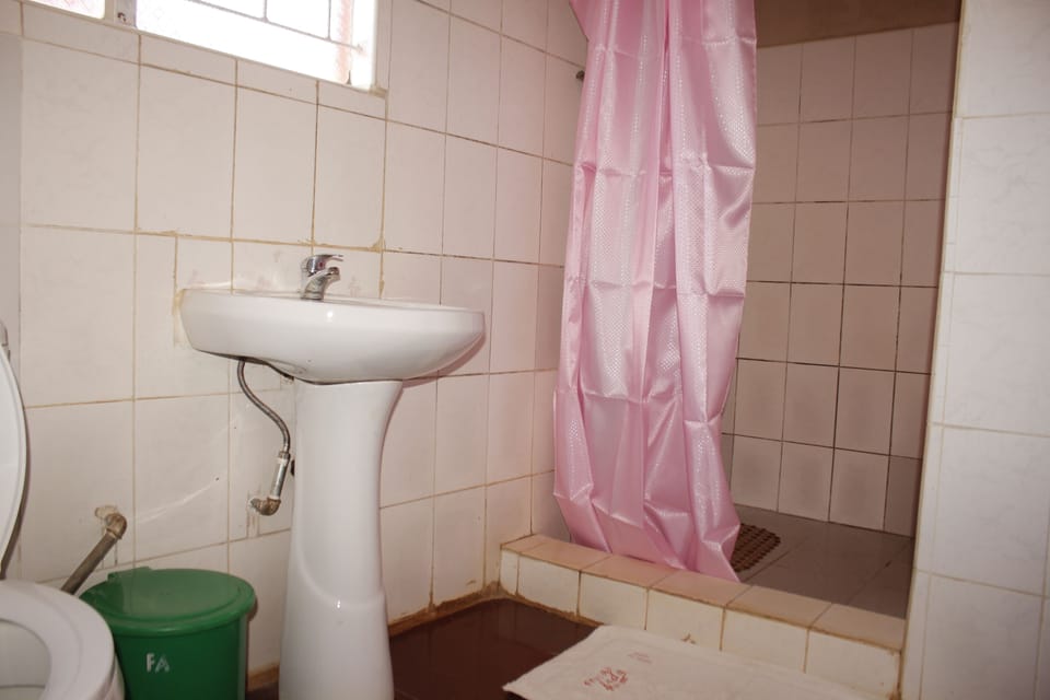 Shower, free toiletries, hair dryer, slippers