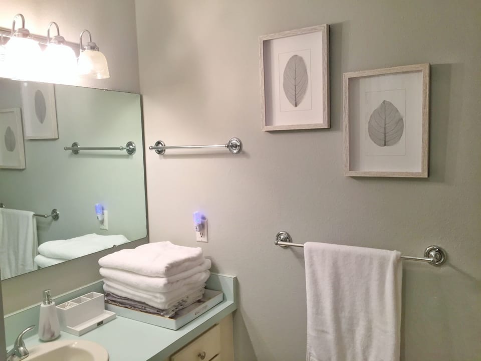 Main floor Bathroom