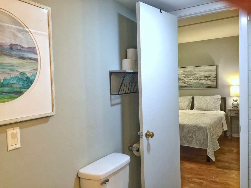 Downstairs Bath into Bedroom Suite