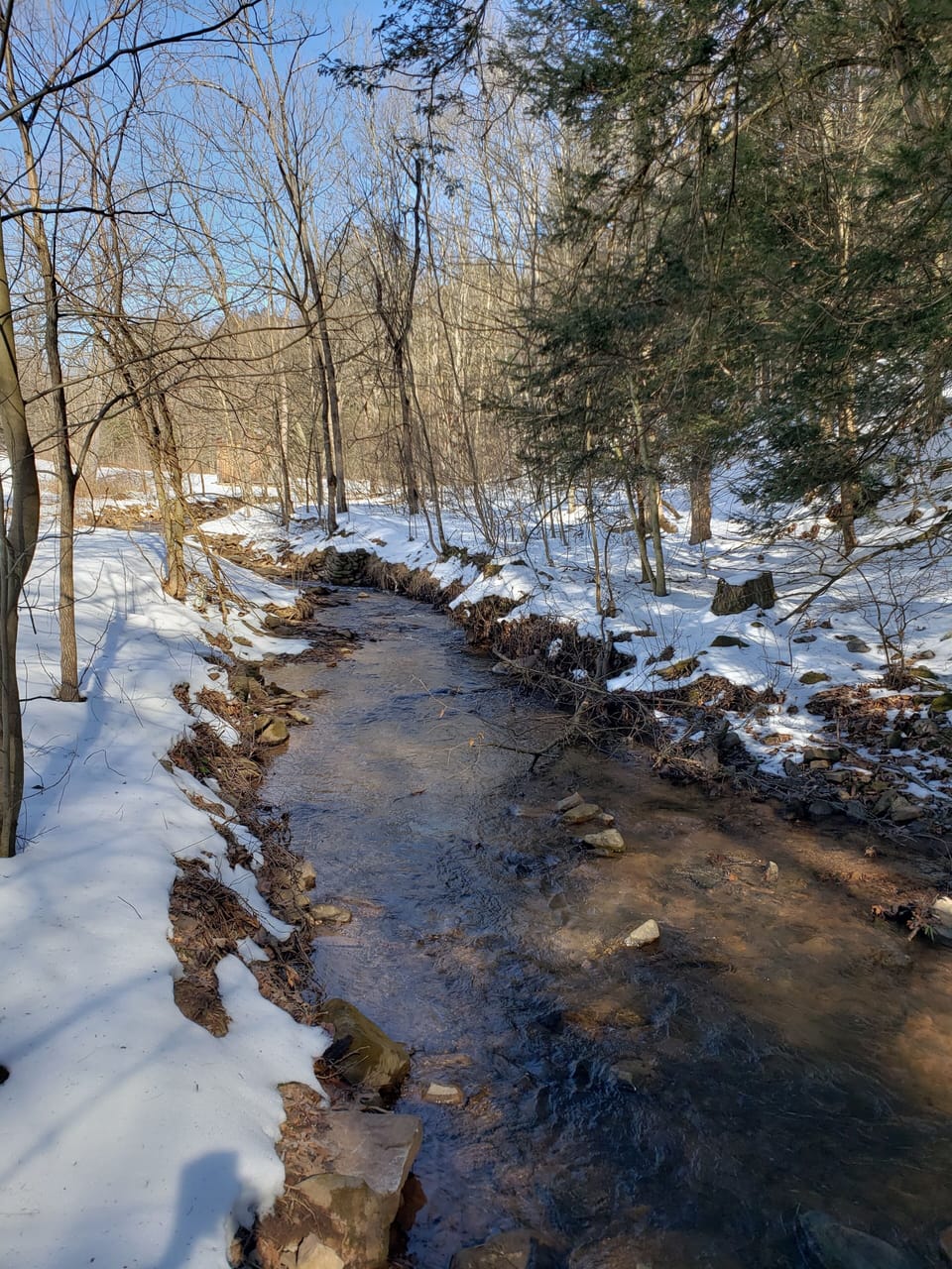 our stream in winter
