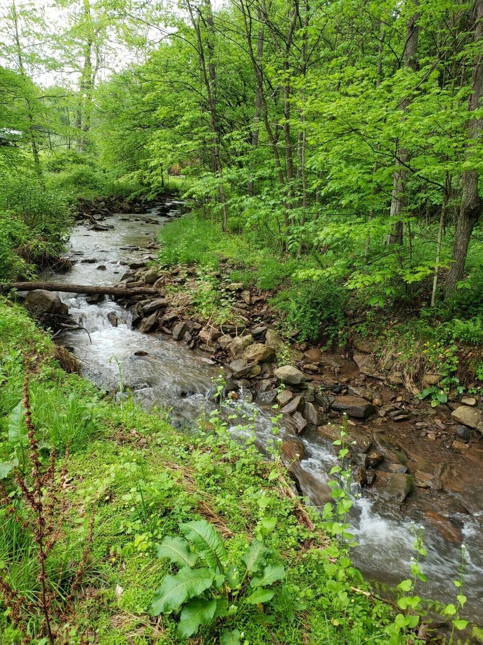 our stream