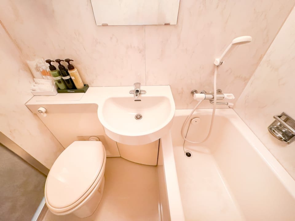 Free toiletries, hair dryer, slippers, electronic bidet