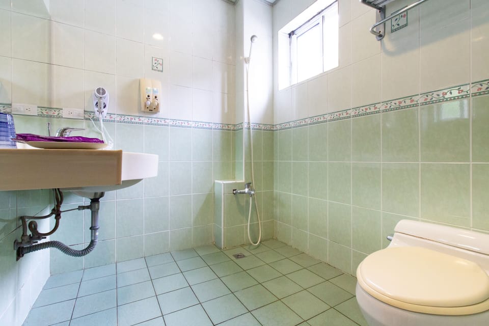 Shower, free toiletries, hair dryer, slippers