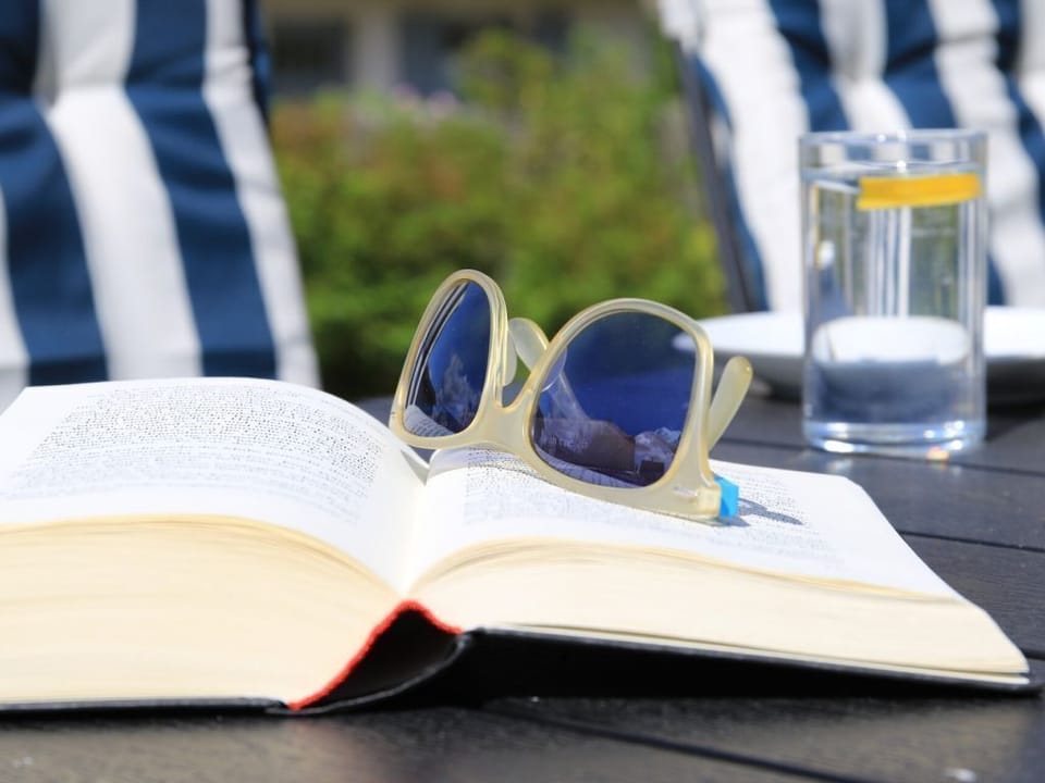 Crane Holiday cottage Cottage in Ostholstein