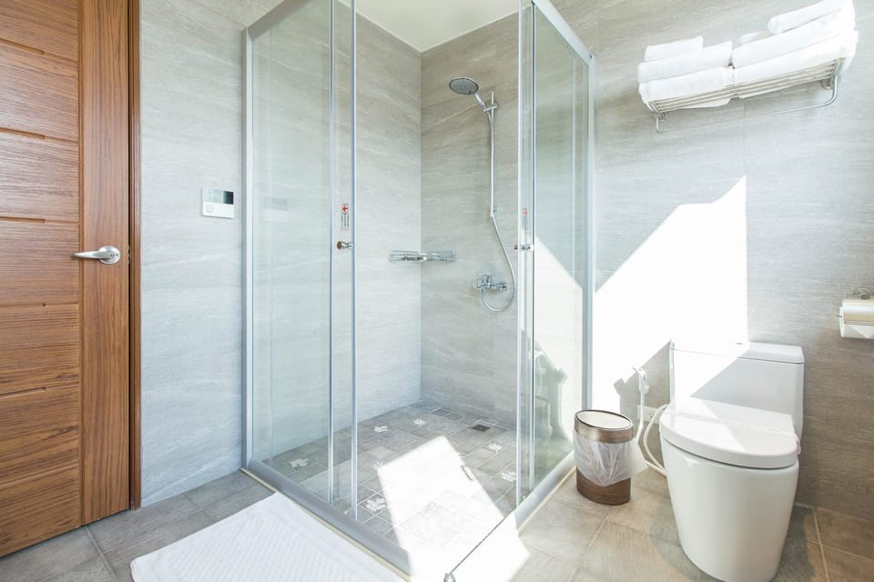 Family Room | Bathroom shower