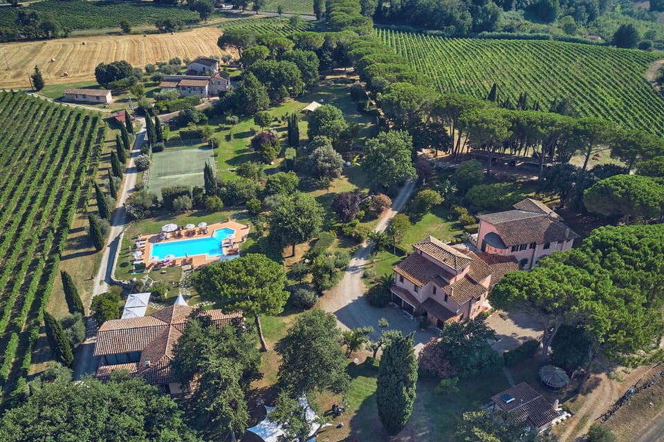 Vineyard