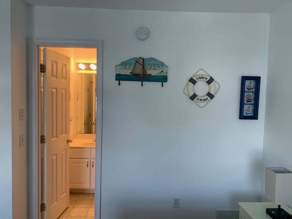 Guest Bathroom from the Guestroom