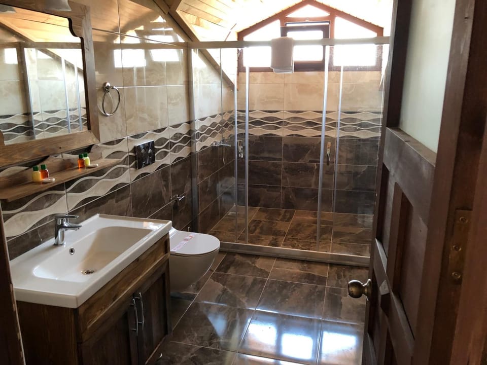 Shower, hydromassage showerhead, free toiletries, hair dryer