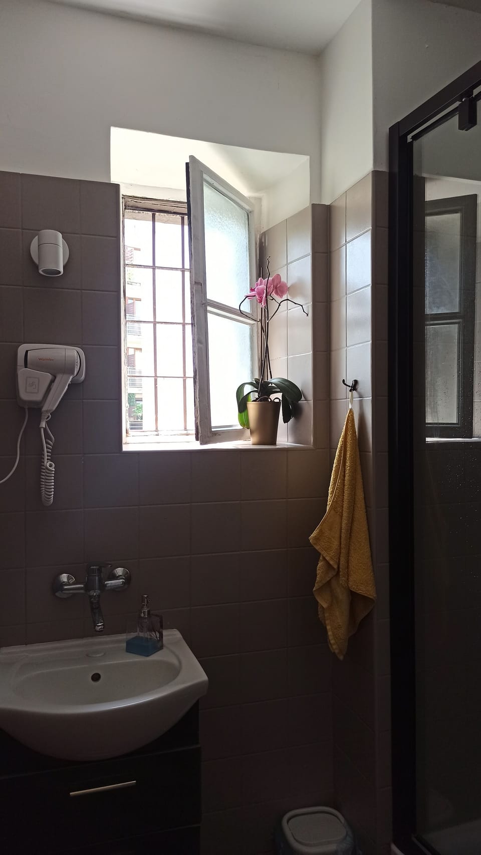 Shower, towels