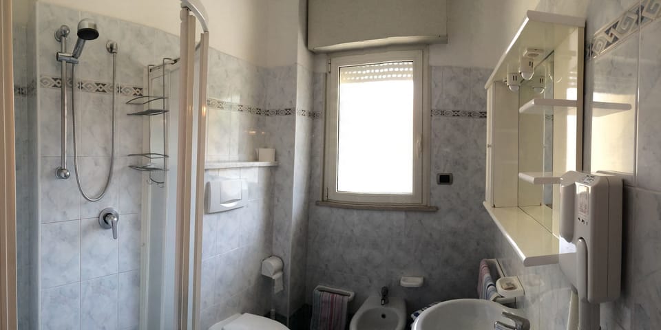 Shower, hair dryer, bidet, towels