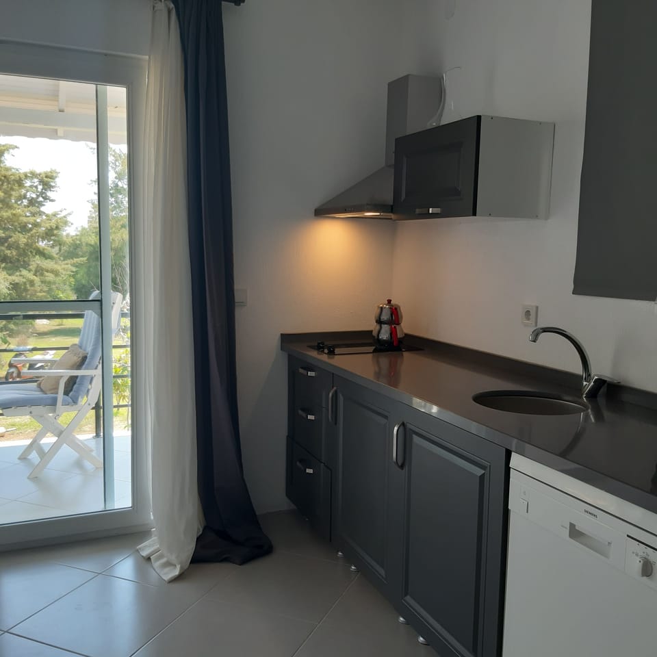 Deluxe House | Private kitchenette | Full-size fridge, dining tables