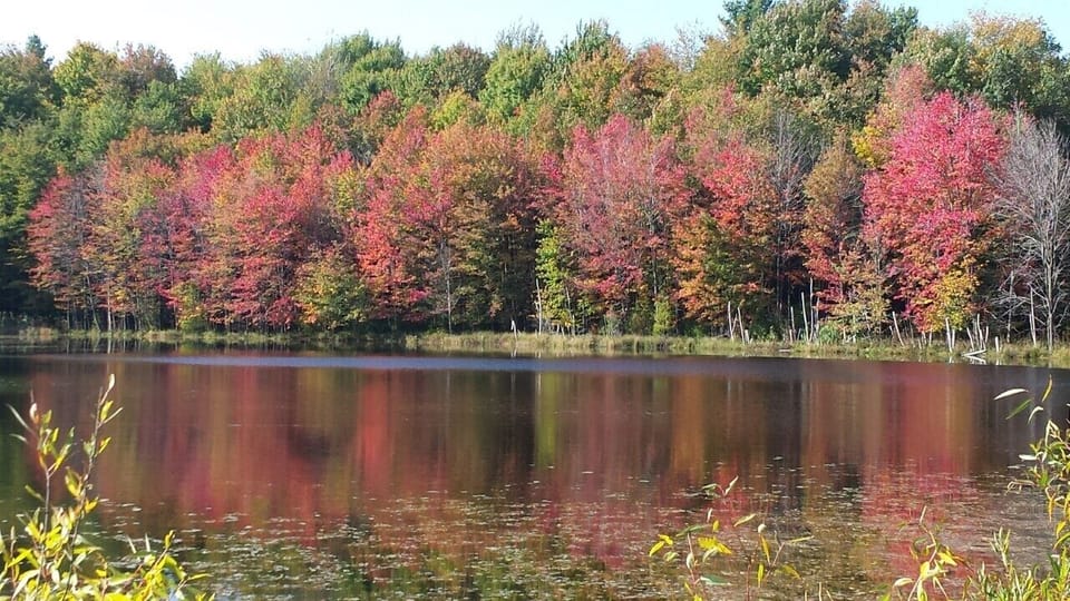 Lake