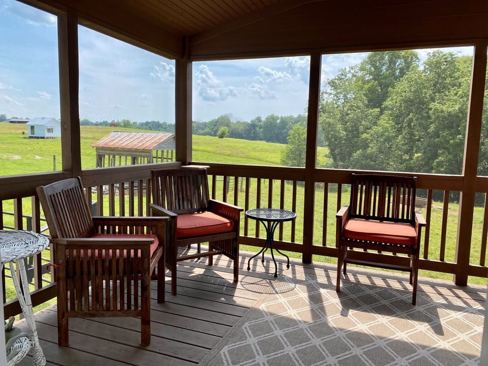 Serene and relaxing views!