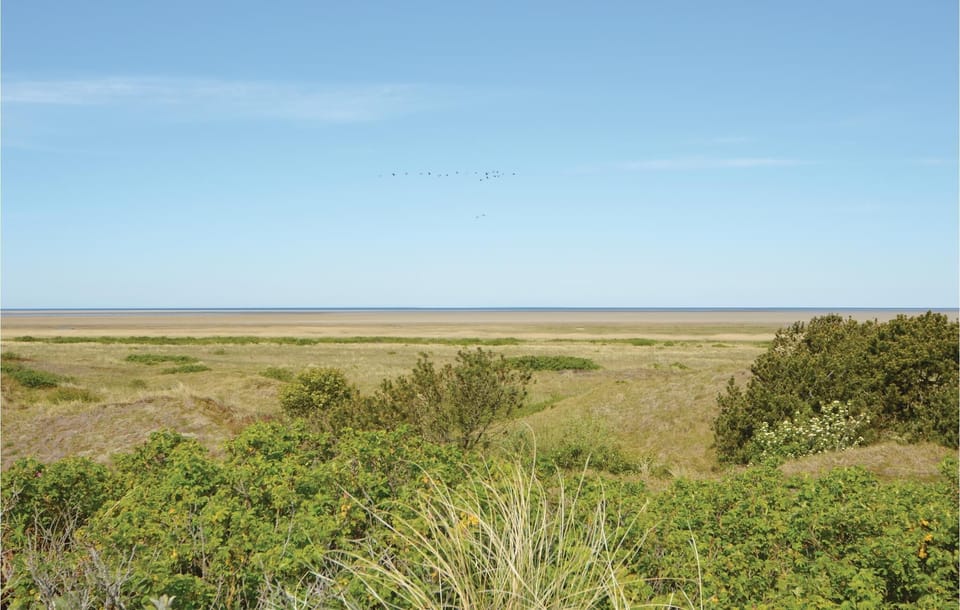 area