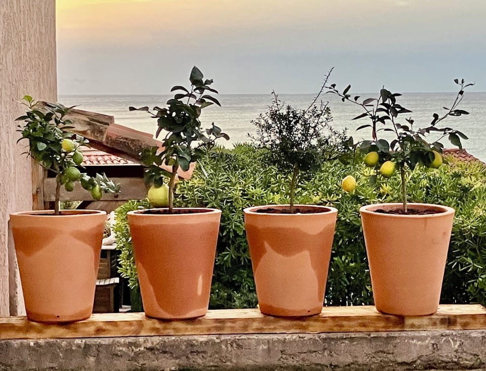 View from property