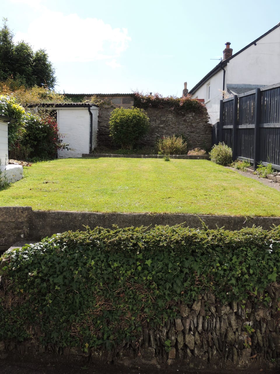 Private enclosed space to run around!