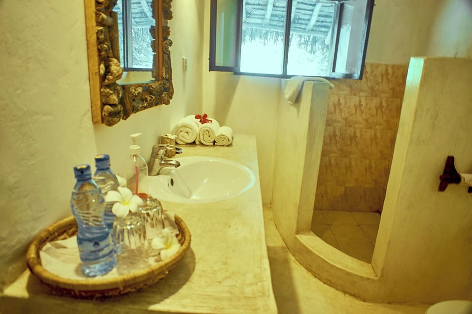 Economy Double Room Single Use, 1 Bedroom, Terrace | Bathroom | Shower, rainfall showerhead, free toiletries, slippers